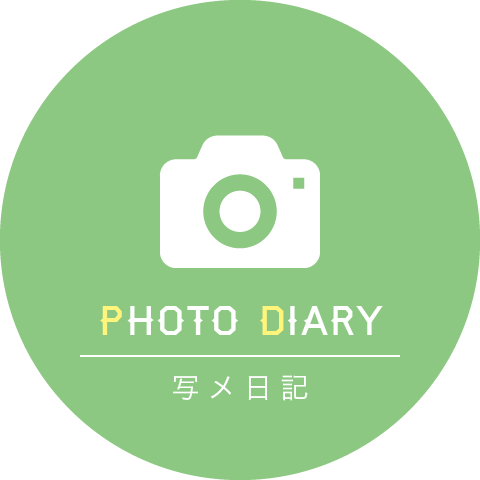 Photo Diary